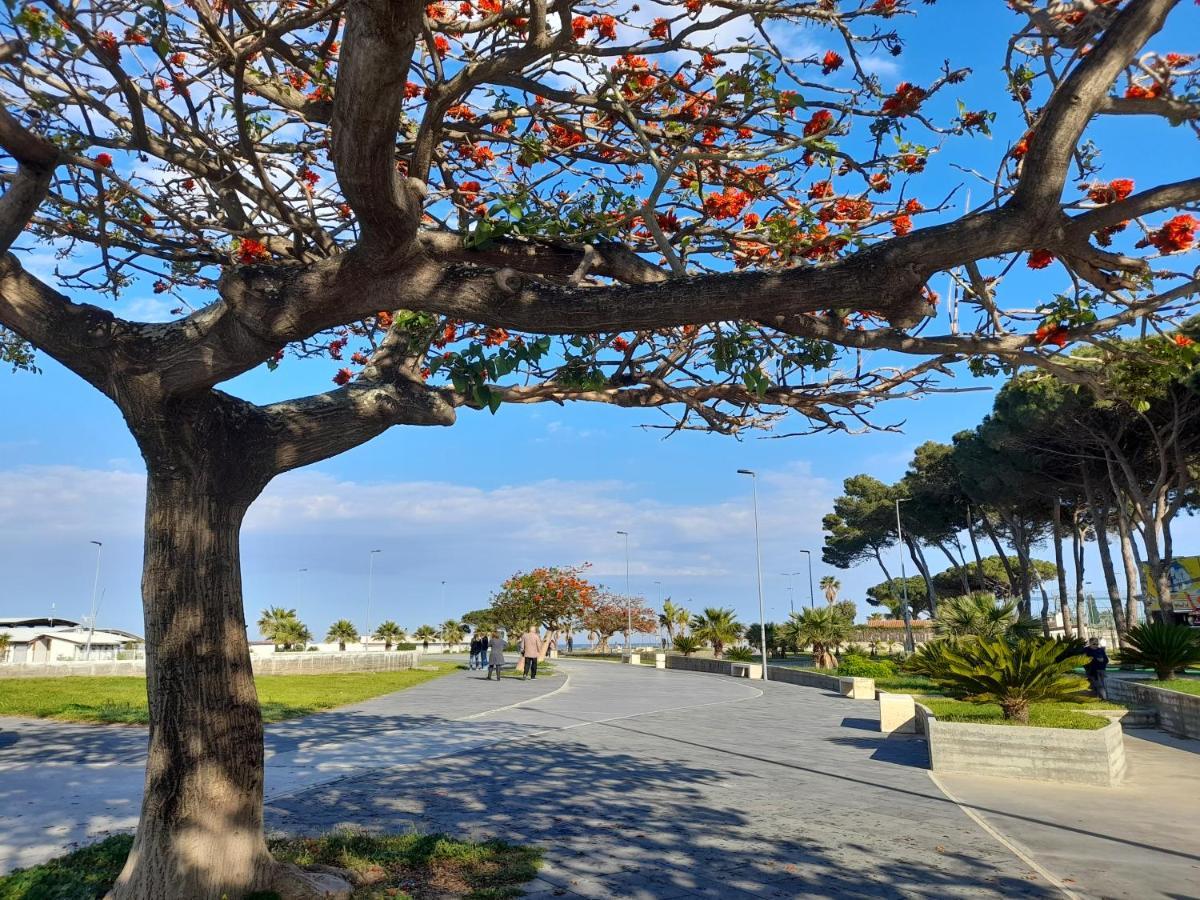 Villa Ersilia Soverato Marina Bagian luar foto